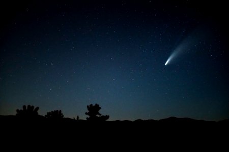 Comet NEOWISE over Cholla Cactus Garden