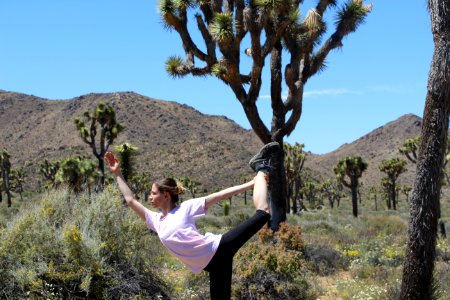 Yoga in Joshua Tree