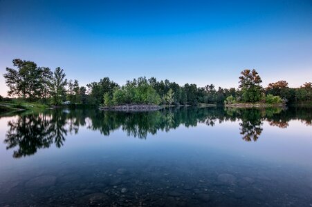 Forest holidays summer photo