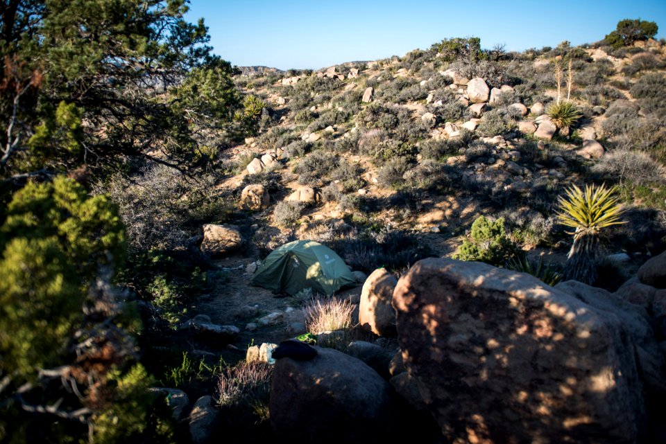 Backcountry campsite between Juniper Flats and Covington Flat