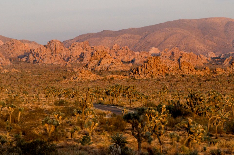 Park Boulevard near the Wonderland of Rocks