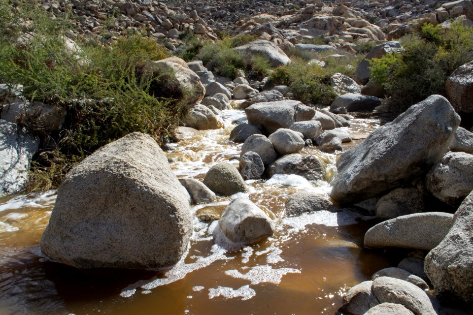 Water in Rattlesnake Canyon