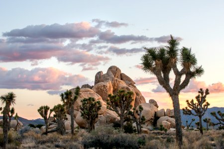 Sunset at Hall of Horrors climbing area