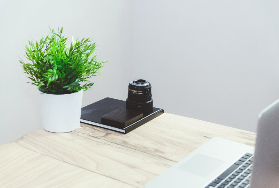 Notebook potted plant mockup