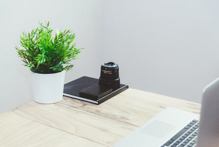Notebook potted plant mockup