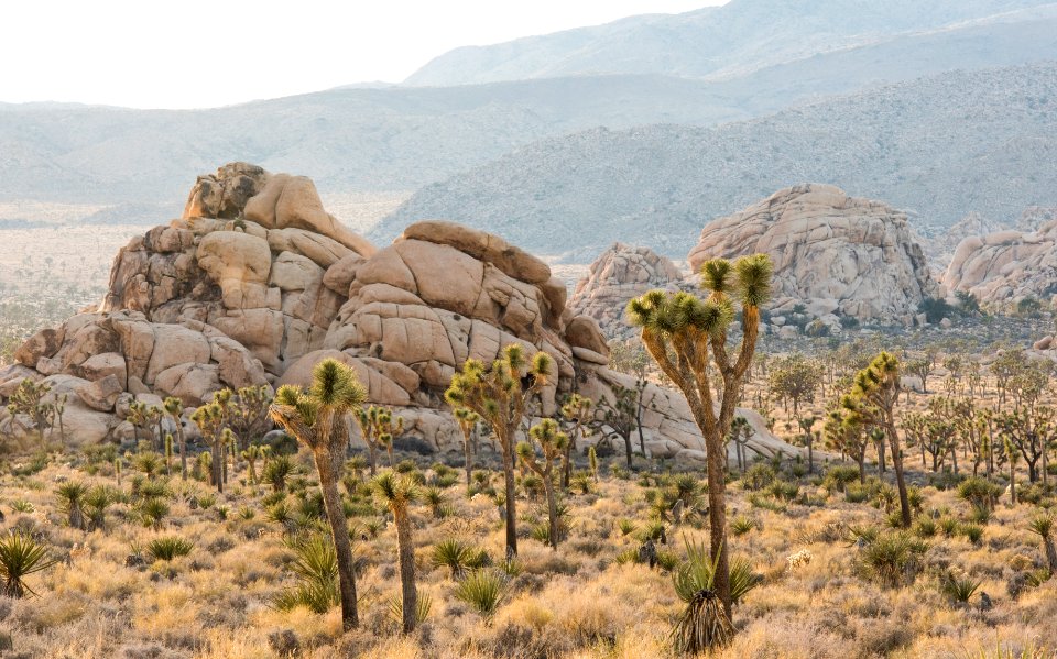 View from Lost Horse Valley