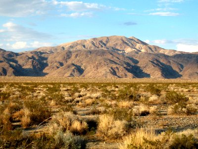 Pinto Mountain