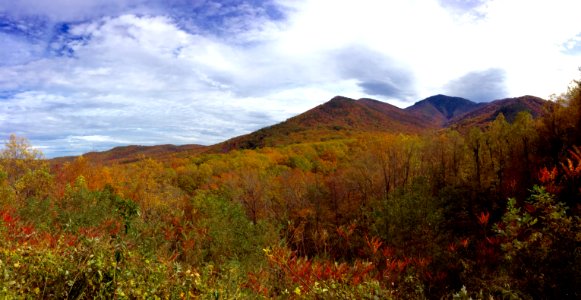 Balsam Point