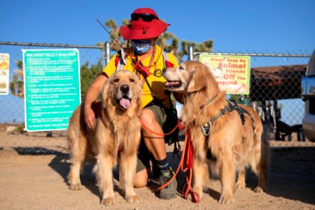 Search and Rescue Canine Team with volunteer