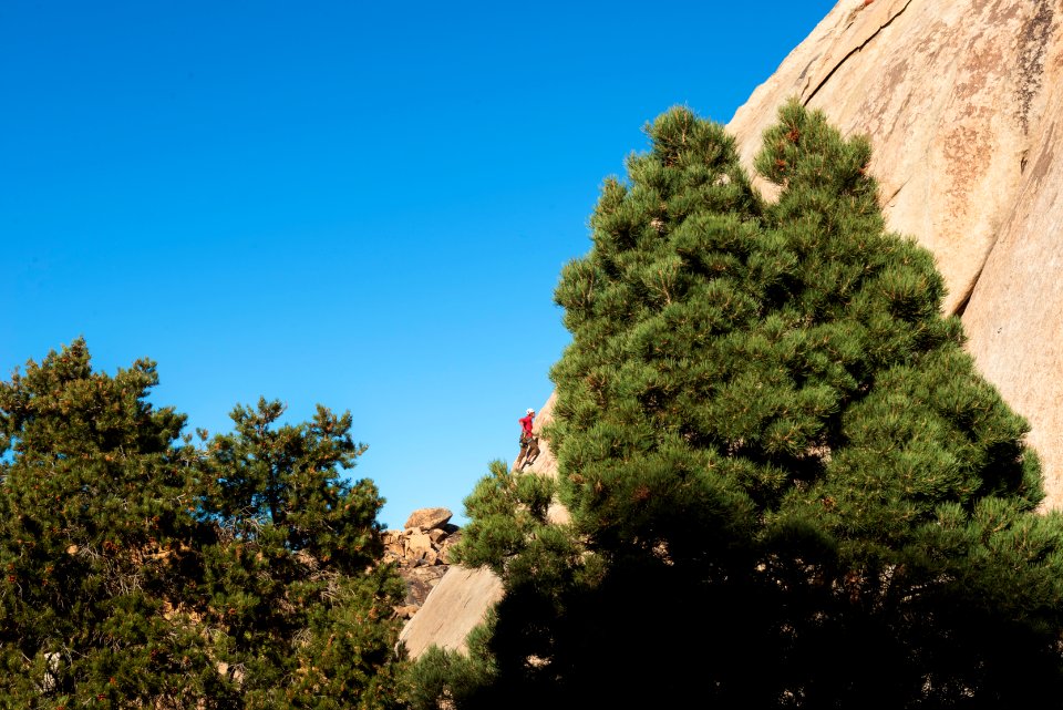 Climber at Echo T