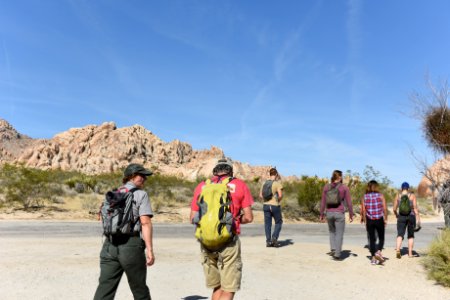 Ranger-led volunteer event in Indian Cove
