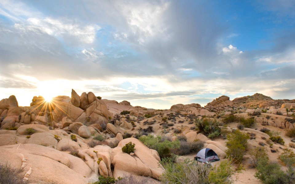 Jumbo Rocks Campsite