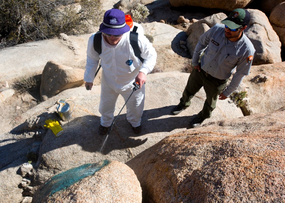 Graffiti Removal Day with Volunteers