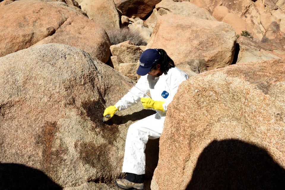 Graffiti Removal Day with Volunteers