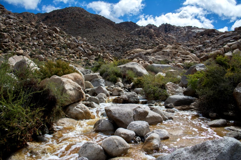Water in Rattlesnake Canyon