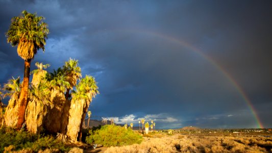Oasis of Mara Rainbow