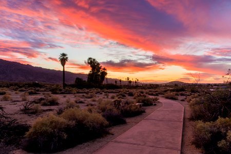 Sunset at Oasis of Mara photo