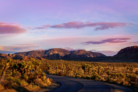Overlooking Park Boulevard at sunset