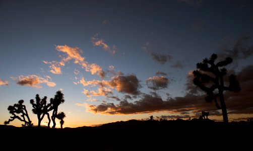 Sunset at Hall of Horrors photo