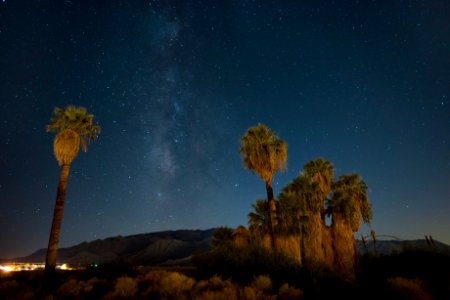 Oasis of Mara at Night photo