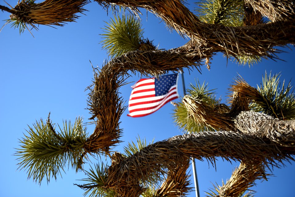 Flag at Black Rock