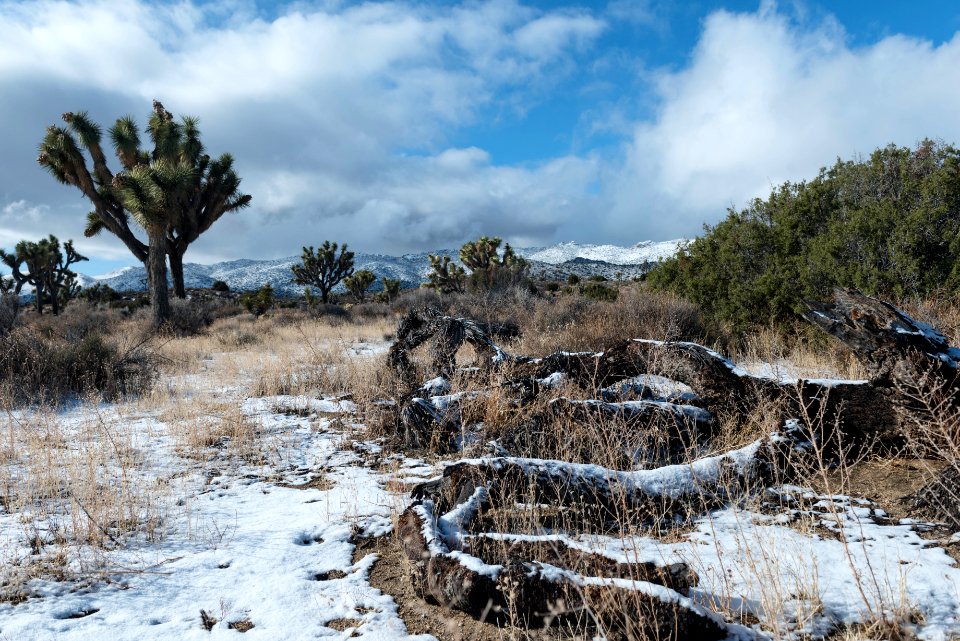 Snow covered desert