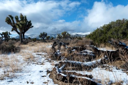 Snow covered desert