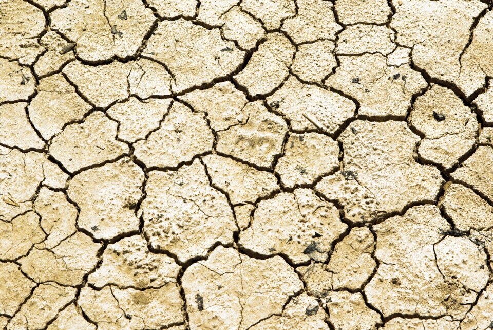 Earth desert aridity