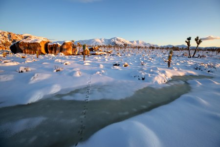 Frozen Wash near Intersection Rock