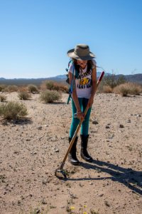 Volunteer Sahara Mustard plant pulling (4.4.15)