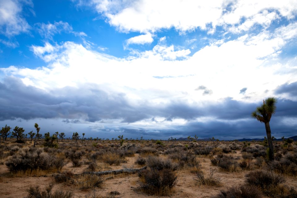 Cloudy skies over Queen Valley