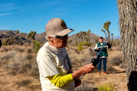 Volunteers during a Joshua Tree Monitoring.