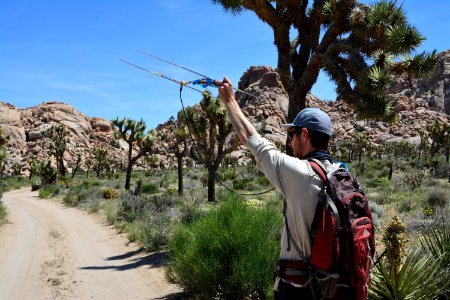 Tortoise Monitoring and Research
