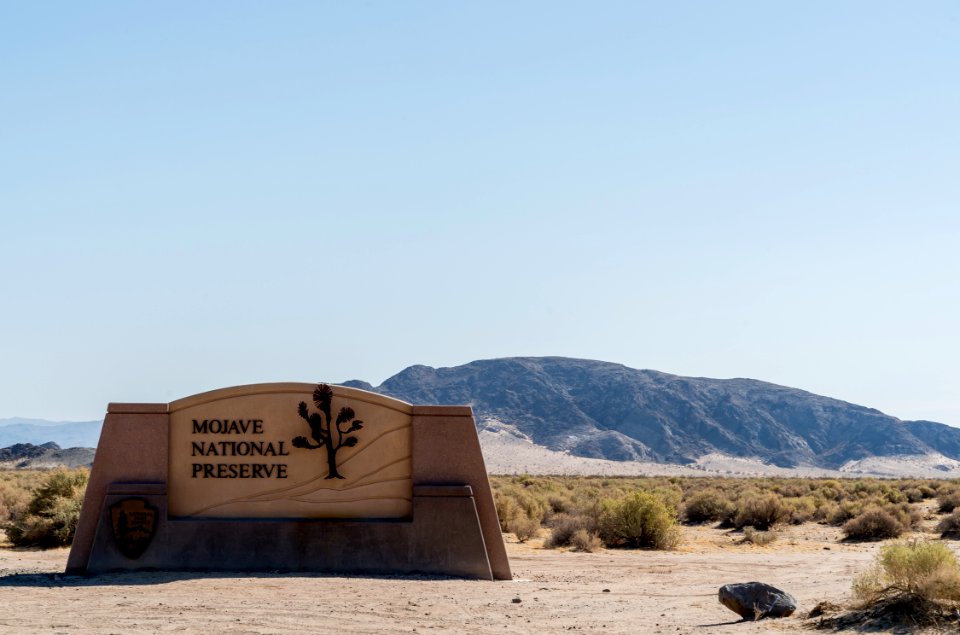 Mojave National Preserve photo