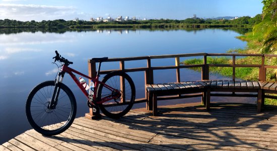Pedalando pela urbe