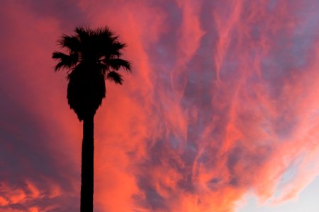 Sunset at Oasis of Mara, Twentynine Palms photo