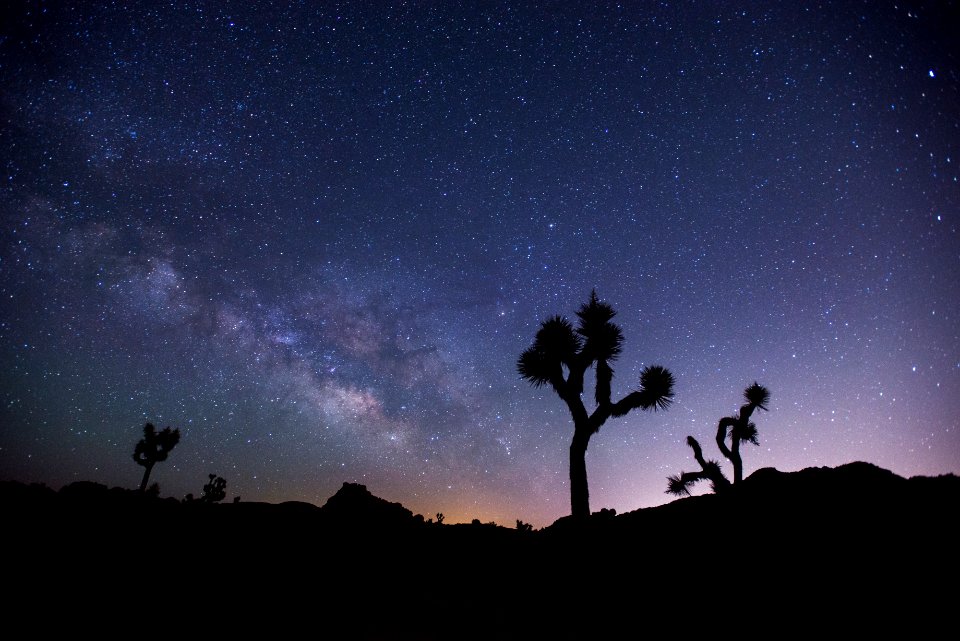 Night Sky