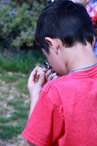 Young Scientist