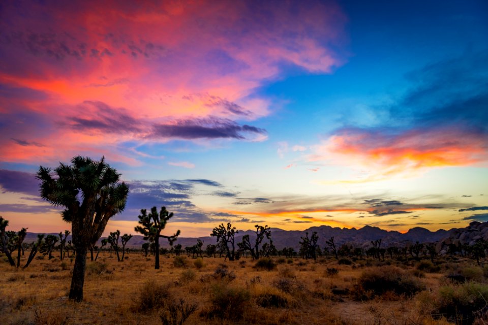 Hidden Valley area at sunset
