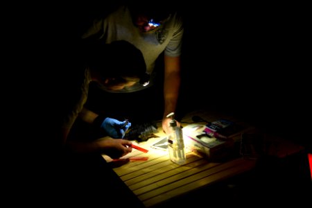 Identifying Bat Species