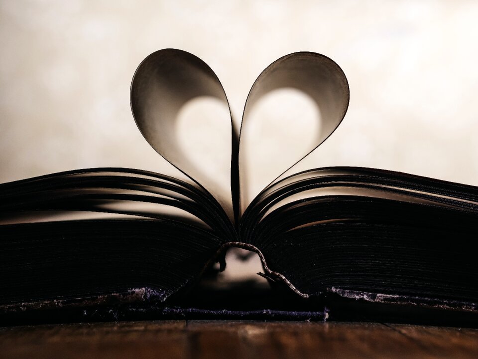 Valentine love book