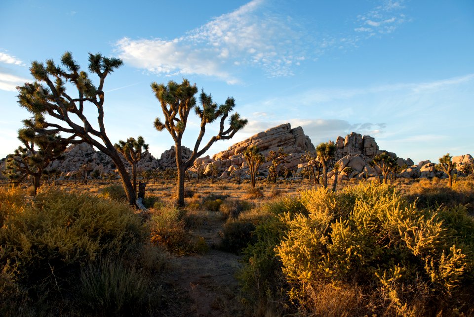 Sunset near Turtle Rock