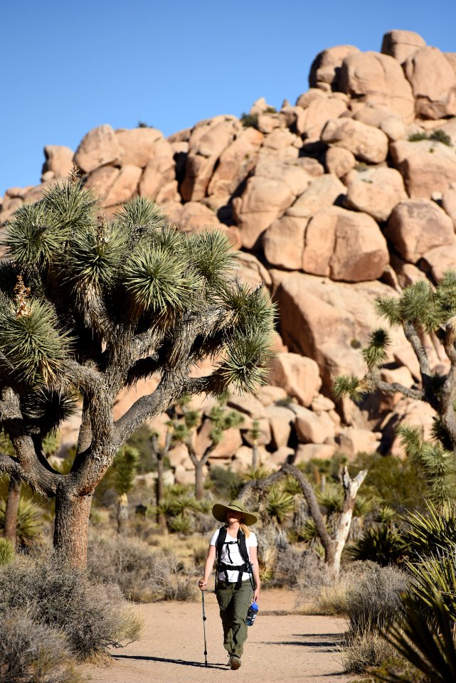 Hiker on Barker Dam Trail