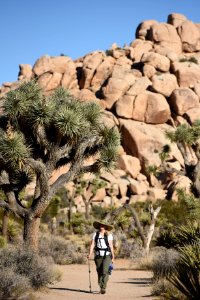 Hiker on Barker Dam Trail