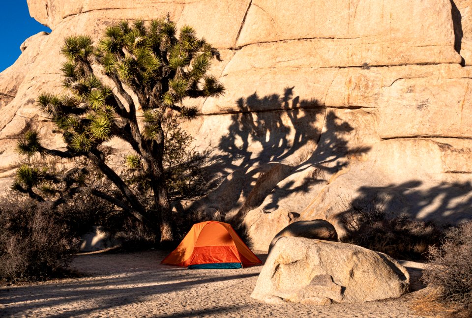 Campsite in Hidden Valley Campground