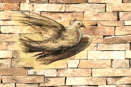 Scribble a dove on a brickwall photo