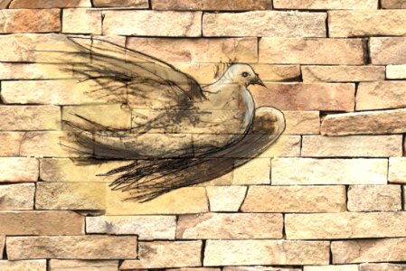 Scribble a dove on a brickwall