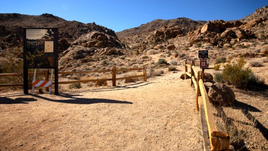 49 Palms Oasis Trailhead
