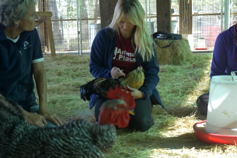 Stephanie with Samwise