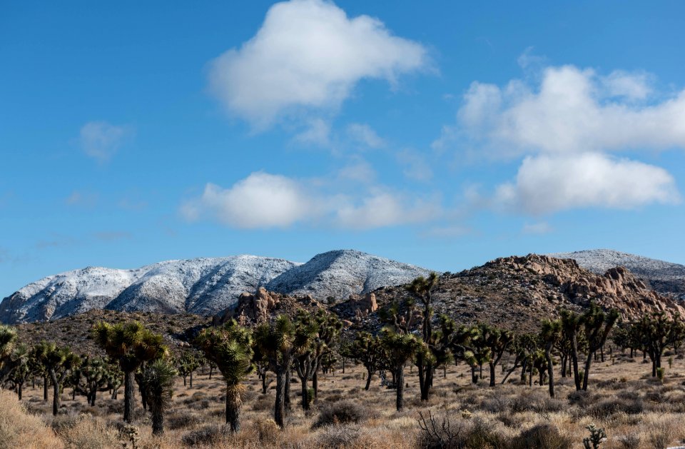 Snow capped mountains